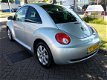 Volkswagen New Beetle - 1.4-16V Trendline United zeer mooi. b.j.2009 - 1 - Thumbnail