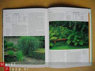 De Beste Beplanting voor uw Tuin - 4