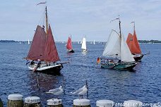 Poster Admiraalzeilen Veerse Meer en meeuwen op paalhoofden (PO28)