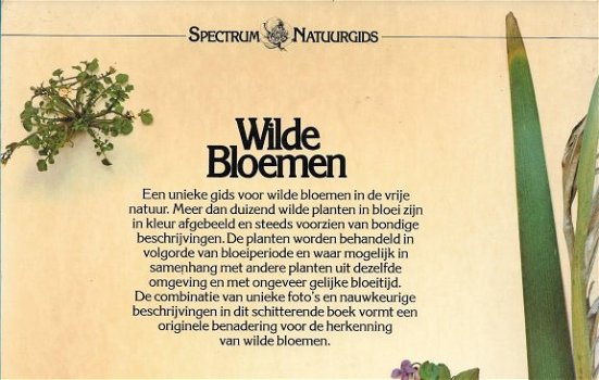 Wilde bloemen - 1