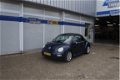 Volkswagen New Beetle Cabriolet - 1.6 75KW Highline - 1 - Thumbnail