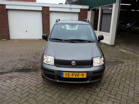 Fiat Panda - 1.2, 50000 km (NAP) NIEUW STAAT - 1