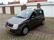 Fiat Panda - 1.2, 50000 km (NAP) NIEUW STAAT - 1 - Thumbnail