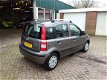 Fiat Panda - 1.2, 50000 km (NAP) NIEUW STAAT - 1 - Thumbnail