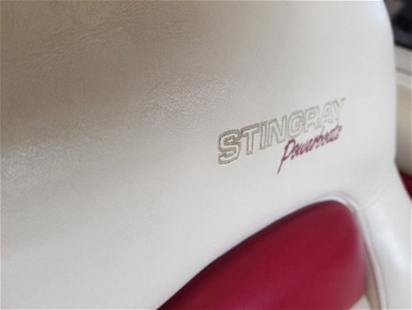 Stingray 192 RX - 8
