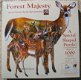 SunsOut - Forest Majesty - 1000 Stukjes Nieuw - 2 - Thumbnail