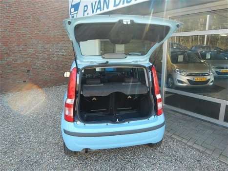 Fiat Panda - 1.2 Edizione Cool - 1