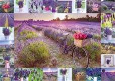 Schmidt - The Scent of Lavender - 1000 Stukjes Nieuw