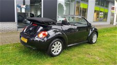 Volkswagen New Beetle Cabriolet - 1.6 Highline NAP NL AUTO AIRCO CRUISE