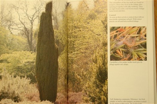 Garden Trees Handbook - 2