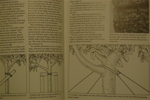 Garden Trees Handbook - 3