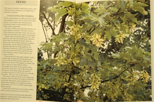 Garden Trees Handbook - 5