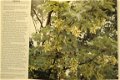 Garden Trees Handbook - 5 - Thumbnail