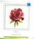 RTO BORDUURPAKKET RED ROSE 168 - 1 - Thumbnail