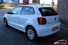 Volkswagen Polo - 1.4