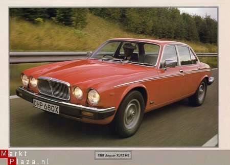 POSTER 1981 JAGUAR XJ 12 HE - 1