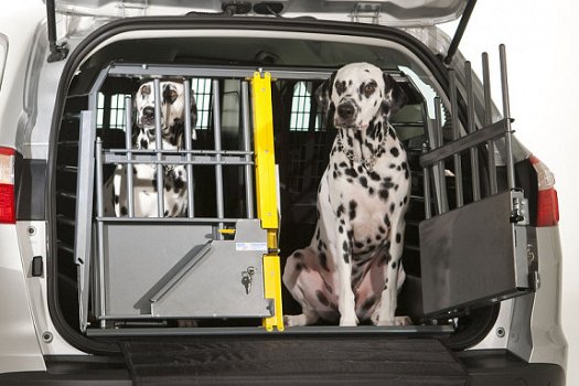 Autobench voor 2 Honden met Ontsnappingsdeur zeer veilg - 4