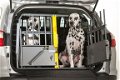 Autobench voor 2 Honden met Ontsnappingsdeur zeer veilg - 4 - Thumbnail