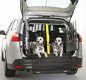 Autobench voor 2 Honden met Ontsnappingsdeur zeer veilg - 6 - Thumbnail