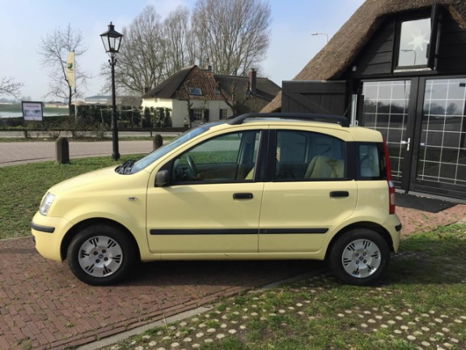 Fiat Panda - 1.2 Dynamic - 1