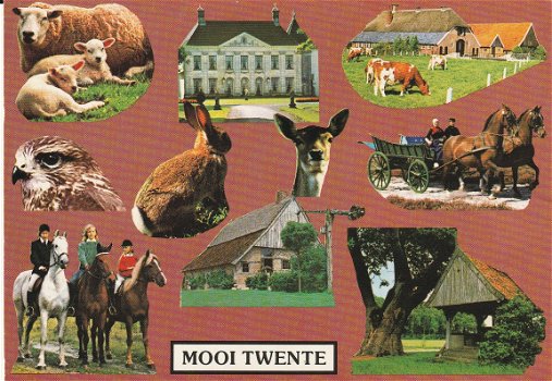 Mooi Twente 1983 - 1