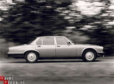 ORIGINAL PRESS PHOTO 1989 DAIMLER DOUBLE SIX