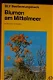 Blumen am Mittelmeer - 1 - Thumbnail
