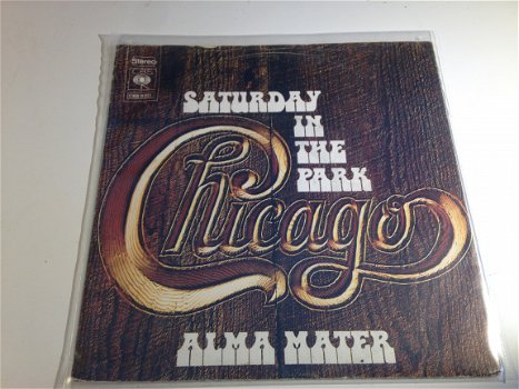 ALLEEN HOES / GEEN PLAAT : Chicago Saturday in the park - 1