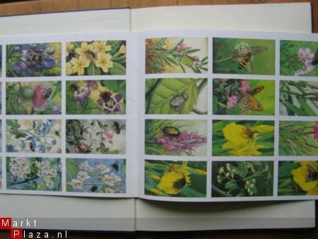 De Bloemen en haar Vrienden - Afbeelding 4