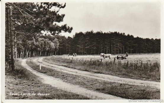 Texel langs de dennen 1957 - 1