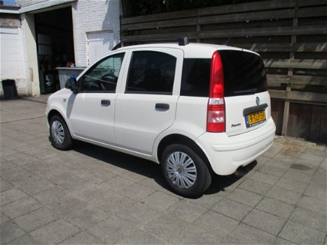 Fiat Panda - 1.3 JTD Edizione Cool - 1