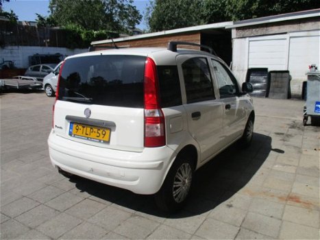 Fiat Panda - 1.3 JTD Edizione Cool - 1