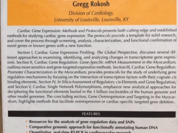 Cardiac Gene Expression - Jun Zhang, Gregg Rokosh - Afbeelding 2