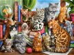 Castorland - House of Cats - 2000 Stukjes Nieuw - 1 - Thumbnail