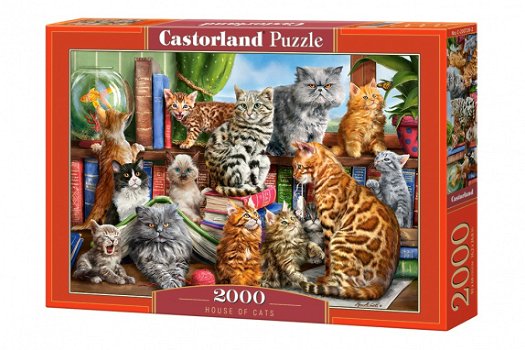 Castorland - House of Cats - 2000 Stukjes Nieuw - 2