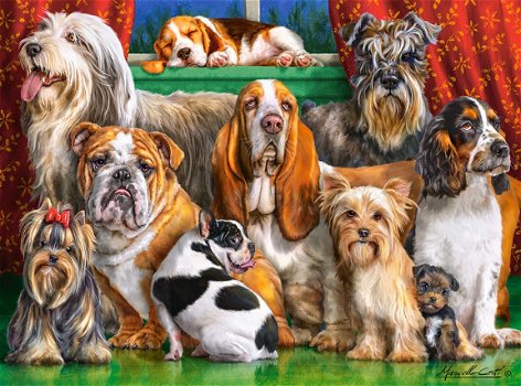 Castorland - Dog Club - 3000 Stukjes Nieuw - 1