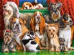 Castorland - Dog Club - 3000 Stukjes Nieuw - 1 - Thumbnail