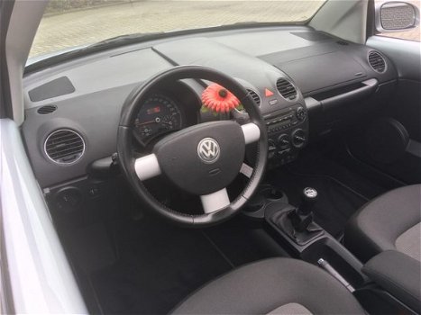 Volkswagen New Beetle Cabriolet - 1.6 Highline 75 dkm (10 x beetle cabrio op voorraad ) - 1