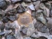 ruwe (split) edelstenen SMARAGD (500KT) - 1 - Thumbnail