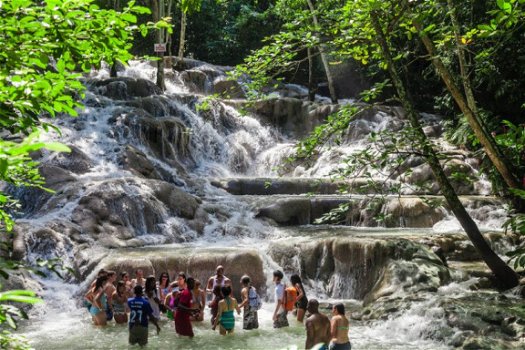 In onze kleine BNB in Ocho Rios , Jamaica ontdekt u de ware schoonheid van ons Eiland - 3