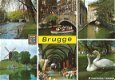 Belgie Brugge - 1 - Thumbnail