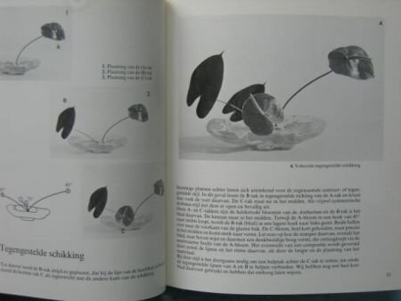 Ikebana , maken en begrijpen - 1