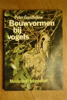 Bouwvormen bij vogels - 0