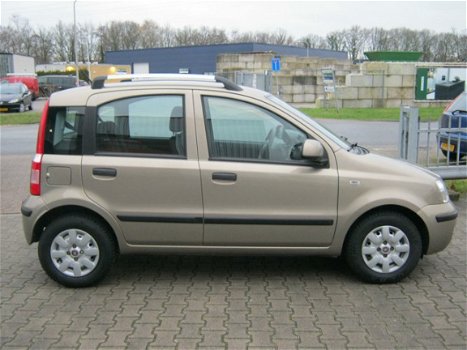 Fiat Panda - 1.2 Edizione Cool - 1