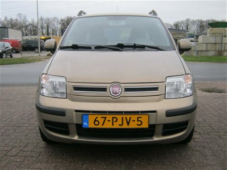 Fiat Panda - 1.2 Edizione Cool - 1