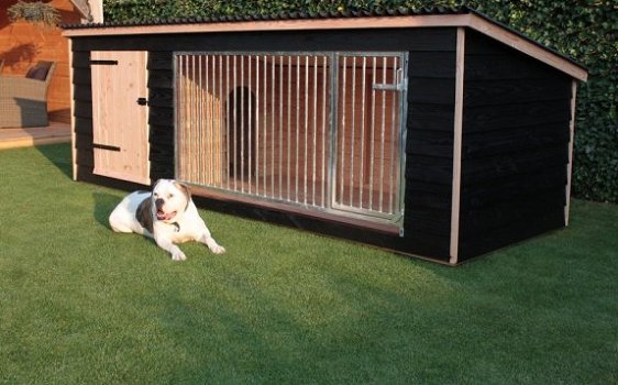 Exclusieve Douglas hondenkennel Bello - 4