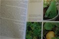 Groenten kweken zonder tuin - 4 - Thumbnail