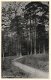 Boschgezicht Doorn 1936 - 1 - Thumbnail