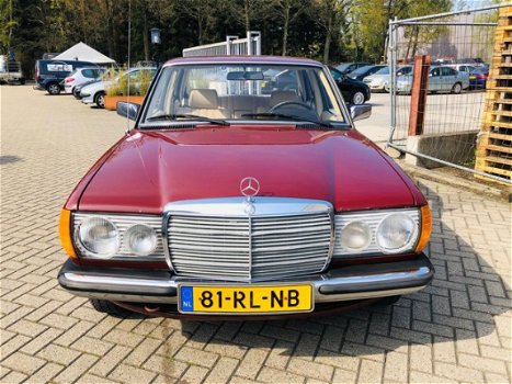 Mercedes-Benz 200-280 (W123) - 200-serie (200 D Unieke/ORIGINELE LAK - 1