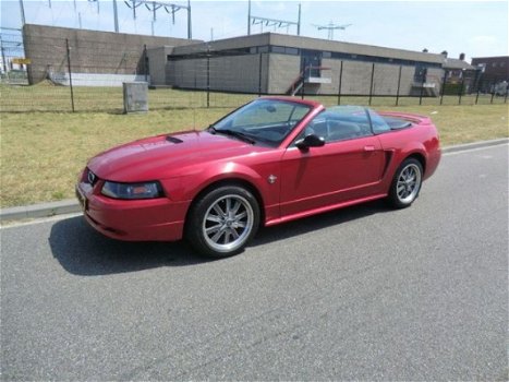 Ford Mustang Convertible - USA 3.8 V6 - 1